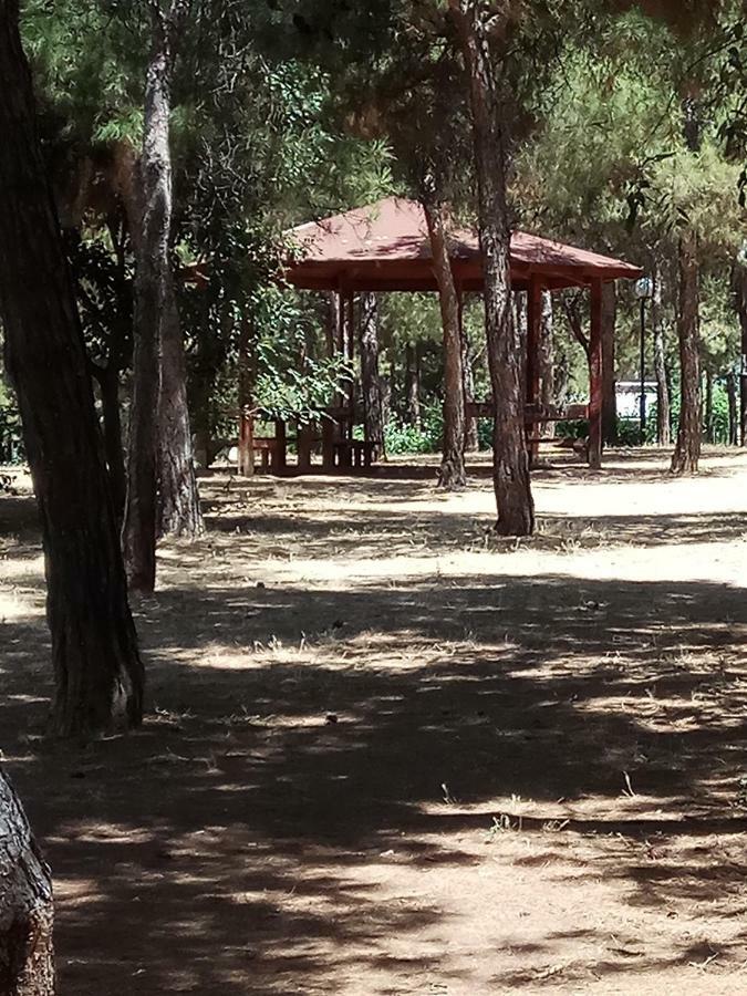 Athens 140 Apartment ภายนอก รูปภาพ